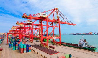 違反海關(guān)監(jiān)管規(guī)定將面臨哪些風(fēng)險(xiǎn) 企業(yè)管理咨詢